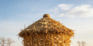 散文||耿清瑞 ：秫秸裹挟的纯净岁月