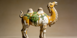 陶君||走进唐三彩的艺术世界