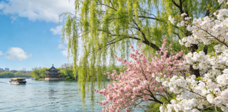 老舍||大明湖之春