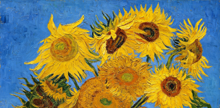 何雅||如何欣赏梵高《向日葵》系列作品