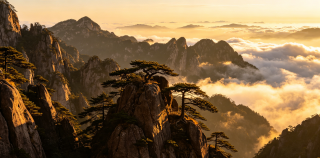 许连春||黄山游记